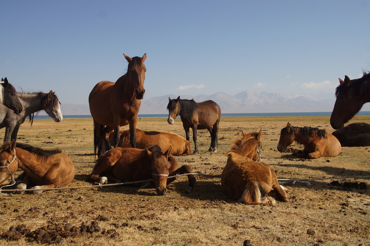 Kyrgyzstan 3738064 1280